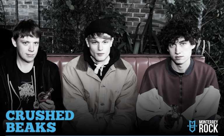 Crushed Beaks, noisy pop en estado puro