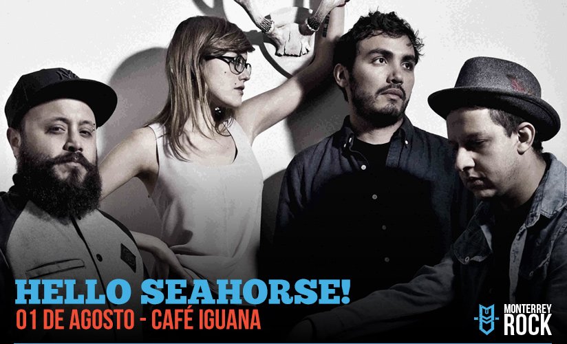 hello-seahorse-cafe-iguana-monterrey-rock