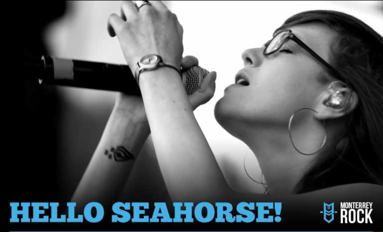Hello Seahorse! y 10 rolas que te debes saber.