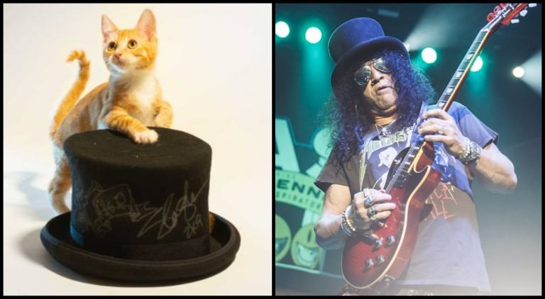 Slash donó un sombrero para la protección de gatitos