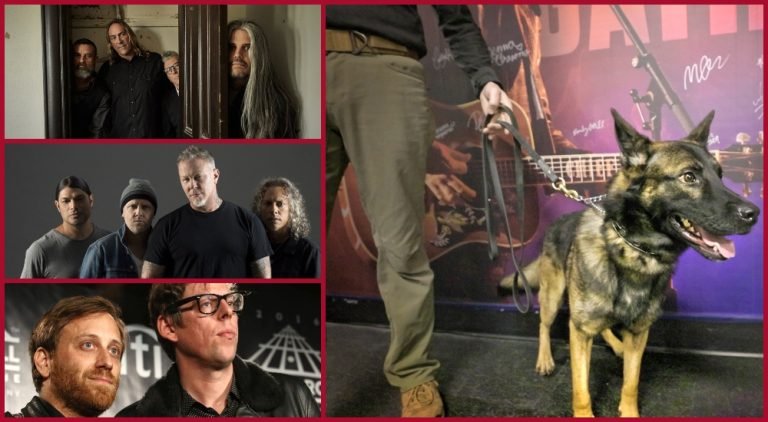 ¡Metallica, Eric Church, Tool y Black Keys utilizan perros para detectar COVID-19!