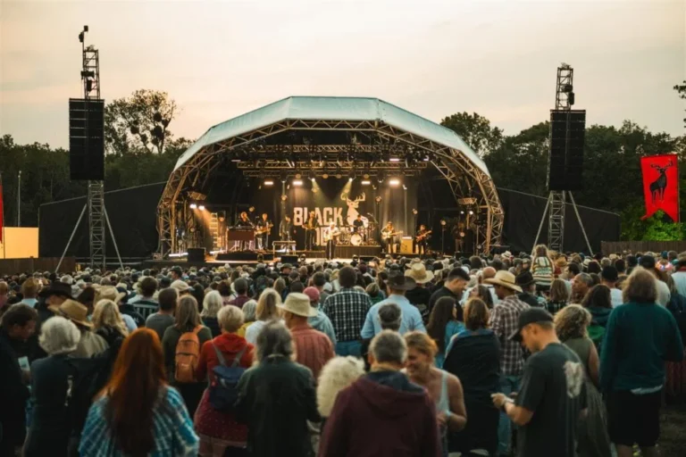 Black Deer Festival 2025 se pospone: crisis en la industria de festivales continúa