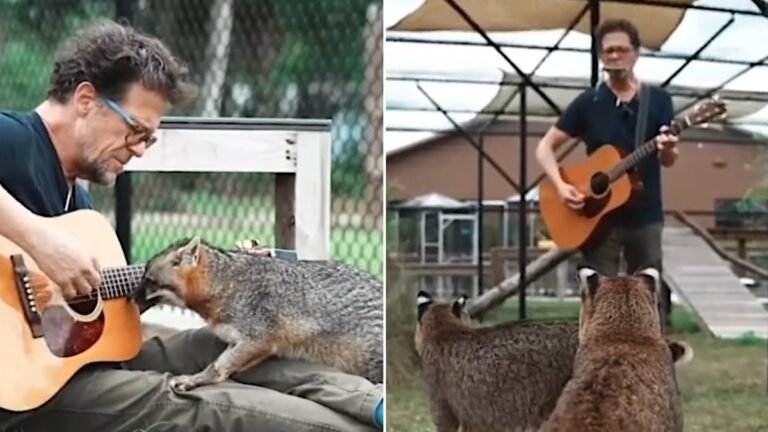 Jason Newsted brinda un concierto acústico para animales en Florida