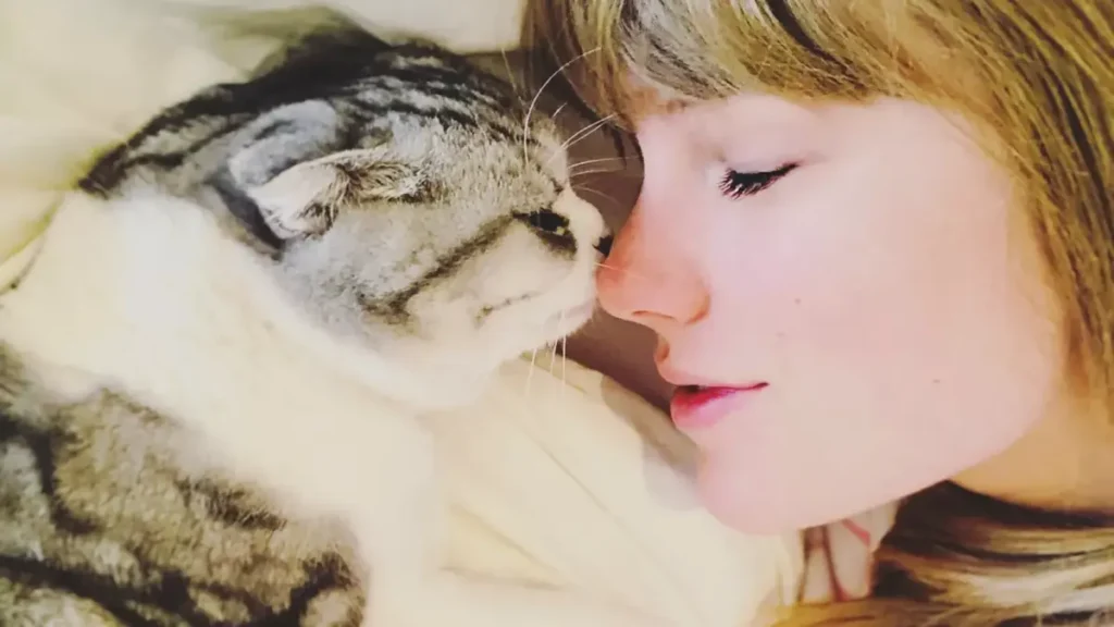 Taylor Swift registra los nombres de sus tres gatos como marca comercial